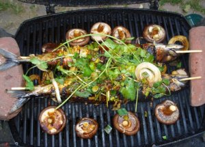 10400447_1167599560474_7916017_n