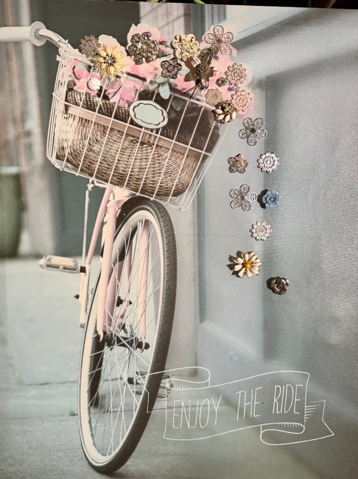 Bicycle 20"L x 16"W Flower jewelry on printed canvas $40